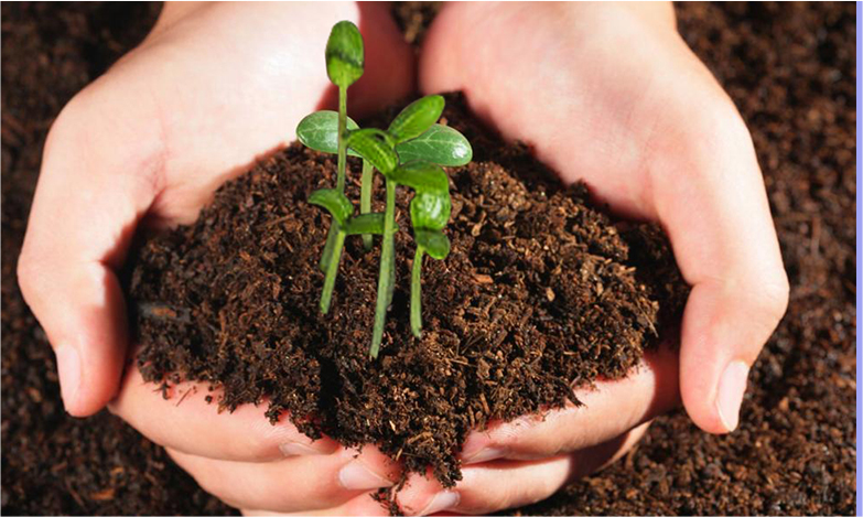 人生就是博_首页