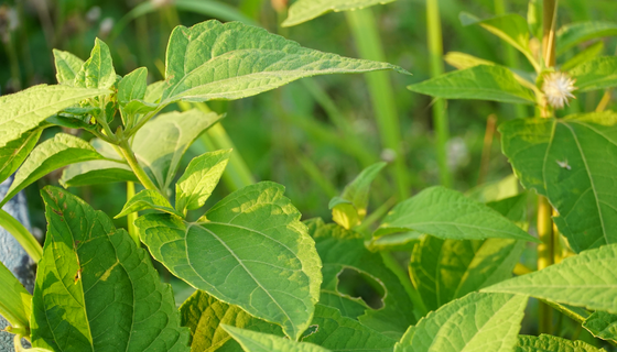 人生就是博_首页